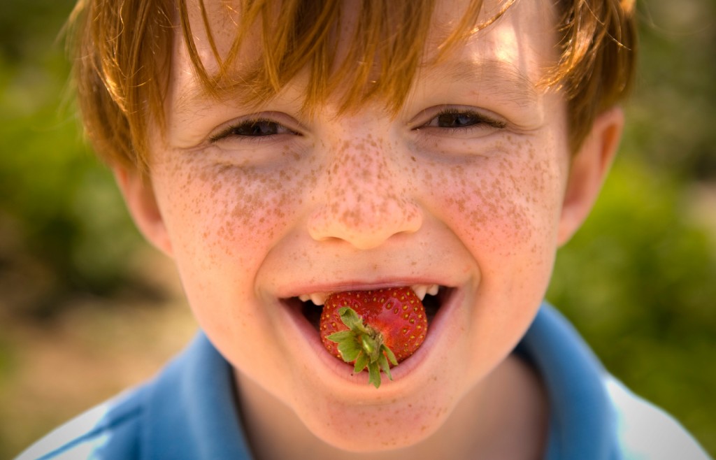 Boy-Eating-Strawberries